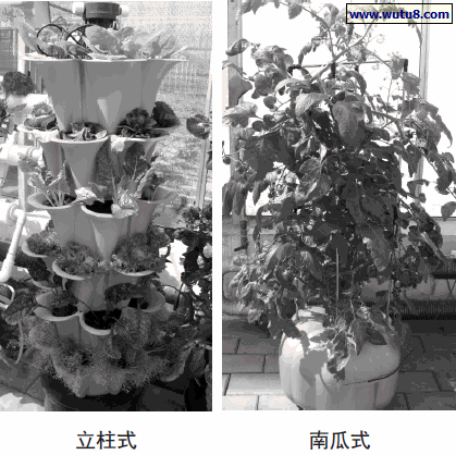 立柱式，南瓜式