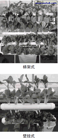 梯架式，壁挂式