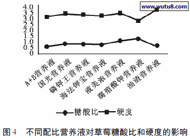不同配比营养液对草莓糖酸比和硬度的影响