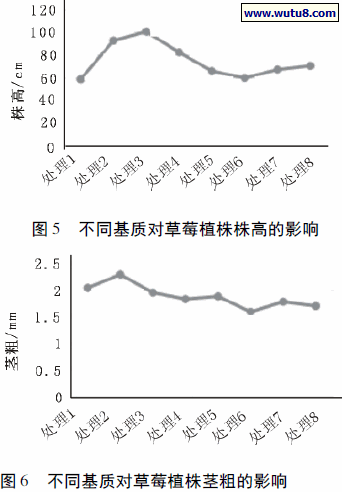 不同基质对草莓植株株高的影响,不同基质对草莓植株茎粗的影响