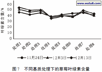 不同基质处理下的草莓叶绿素含量