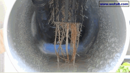 NFT系统需要考虑3个重要因素：