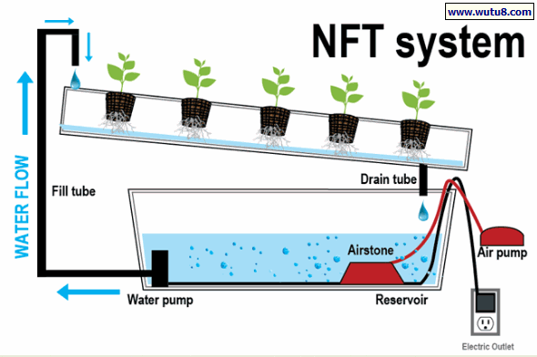 NFT 系统