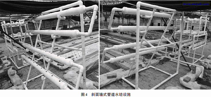 斜面墙式管道水培设施