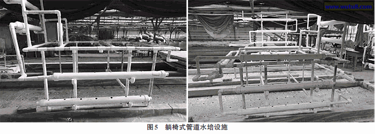 躺椅式管道水培设施