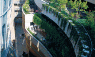 无土栽培种植实现轻型屋顶绿化