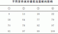 不同营养液对番茄无土育苗的影响