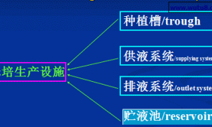 砾培生产设施及管理