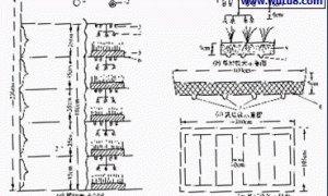 立体牧草生产设施