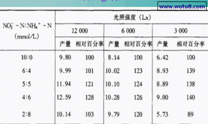 营养液氮源的选择