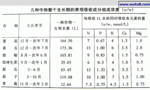 植物的根系及其功能
