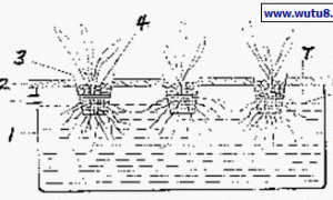 小型简易静止水培装置