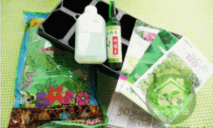 无土栽培试种套装