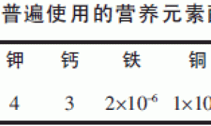 日本番茄无土栽培技术
