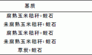 玉米秸秆基质对无土栽培莴苣生长的影响