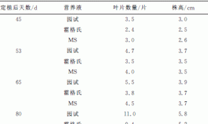 不同营养液对三色堇无土栽培的研究