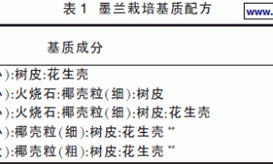 墨兰无土栽培的基质筛选