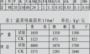 日光温室茄科蔬菜无土栽培试验简报