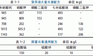 广东万年青无土栽培营养液配方筛选试验