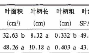 国产草炭与进口草炭对草莓生长的影响