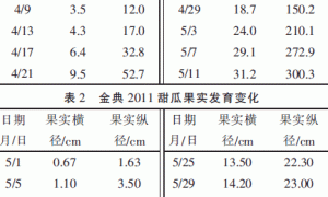 金典2011甜瓜在宜州的生长表现及大棚甜瓜重茬栽培技术