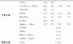 盆栽月季无土栽培研究