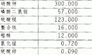 日光温室草莓立柱式无土栽培技术