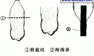 用塑料可乐瓶制作无土栽培器
