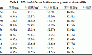 不同施肥方式对无土栽培百合生长发育的影响