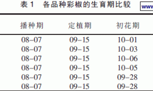 彩椒品种的无土栽培试验筛选与评价