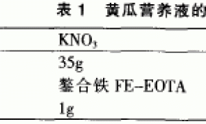 黄瓜的基质栽培技术
