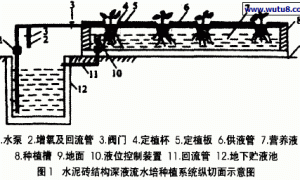 番茄水泥砖结构深液流水培种植技术