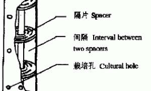 简易柱式无土栽培法