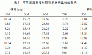 非洲菊无土基质栽培试验研究