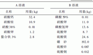 安祖花工厂化无土栽培技术