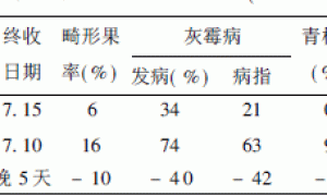 实用无土栽培试验