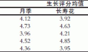 花卉无土栽培技术在宜昌地区的应用研究