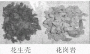 建兰无土栽培的基质筛选的研究
