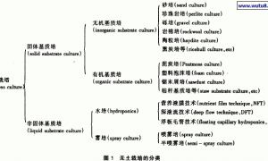 花卉无土栽培技术