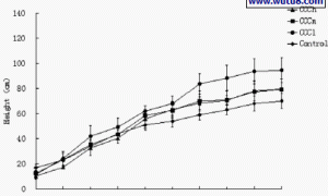 矮壮素（CCC）对黄花蒿植物生理影响研究
