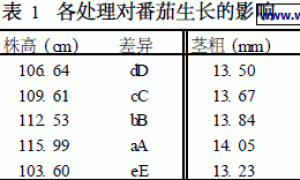 EM原露在番茄无土栽培上的应用试验