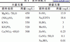 宝坻大蒜无土栽培试验初探