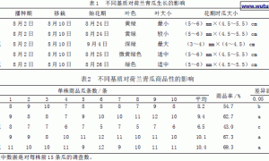 不同基质对荷兰青瓜无土栽培的对比试验