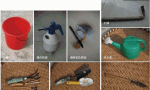 家庭种菜常用工具及容器