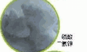 家庭种菜-土壤及肥料