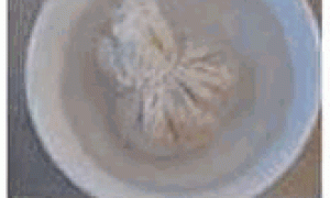 家庭种菜- 种子处理及催芽