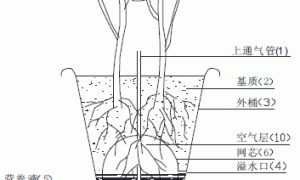 串番茄基质无土栽培技术