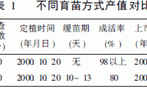 无土穴盘基质育苗方法及栽培技术
