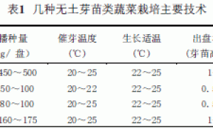新型蔬菜—芽苗菜无土栽培技术