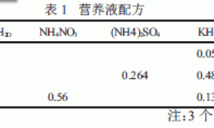 新几内亚凤仙的无土栽培技术